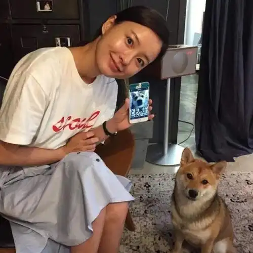 超喜欢郑有美的氛围感