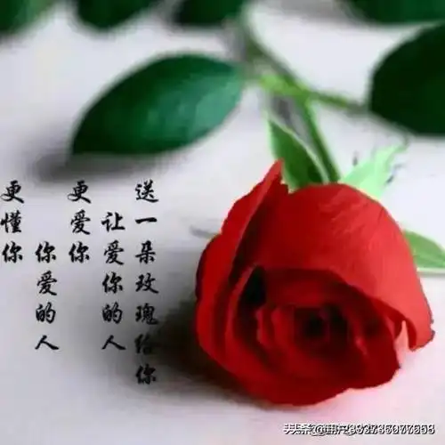 我不是不想你,我不是不爱你,我只能把爱深藏在心底!