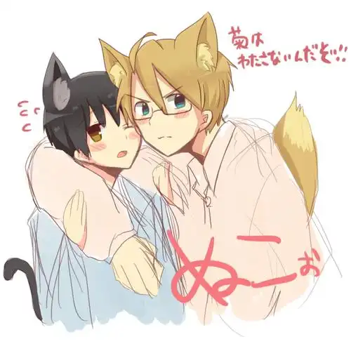 p站:42786725 黑塔利亚 米国和宅菊←←耳朵好萌