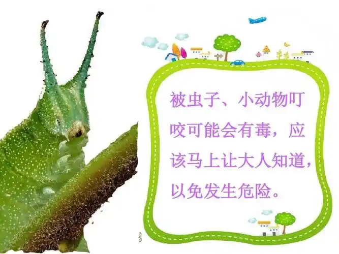 中班安全:哪些虫子会蛰人