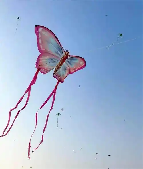 美好春日约您趣镇江这些地方野餐放风筝啦