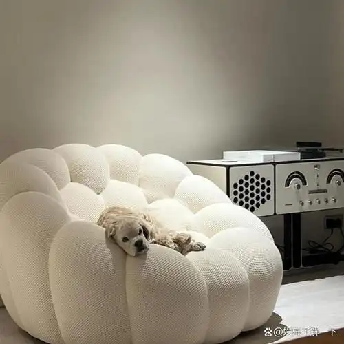 近日,blackpink女团成员jennie在网络节目中首次公开了她的宠物犬kai