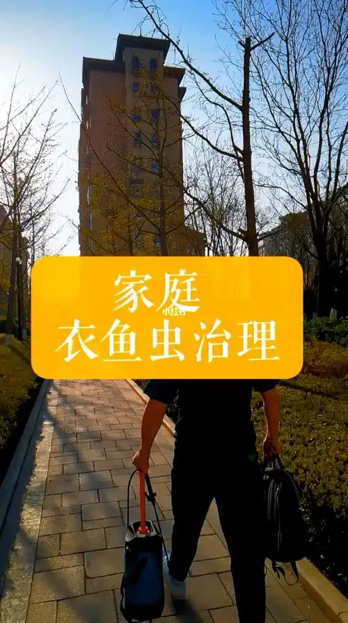 不知道怎么回事,感觉家里有虫子,形容一下貌似衣鱼,现场检查后发现