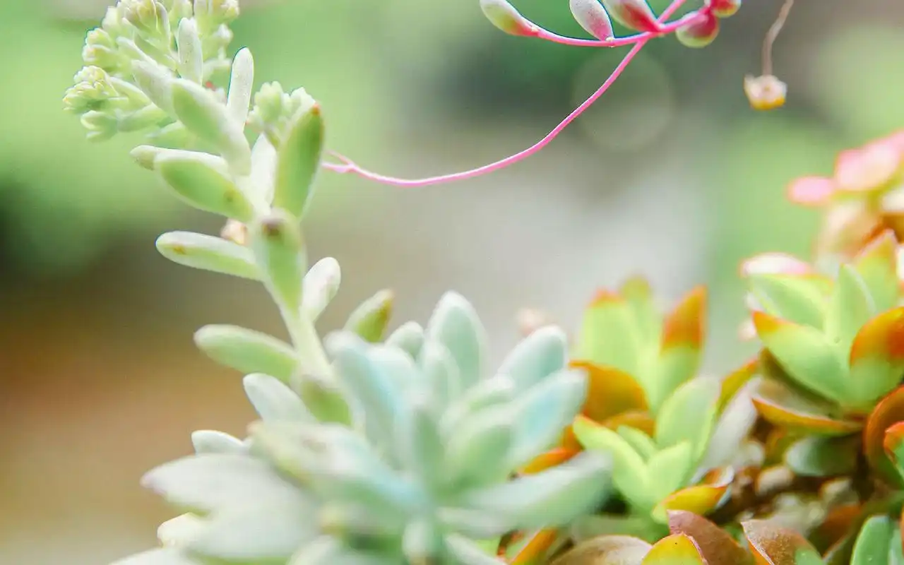 5个迹象提醒你该改变生活了