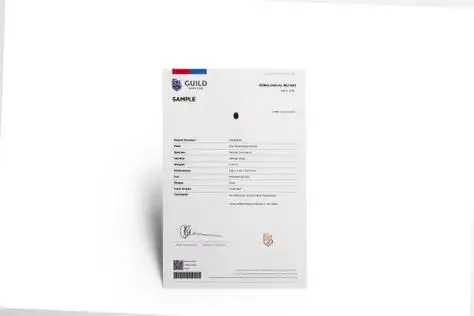 p>guild证书始于1980年,是美国 a href="#" data-lemmaid="22741729"