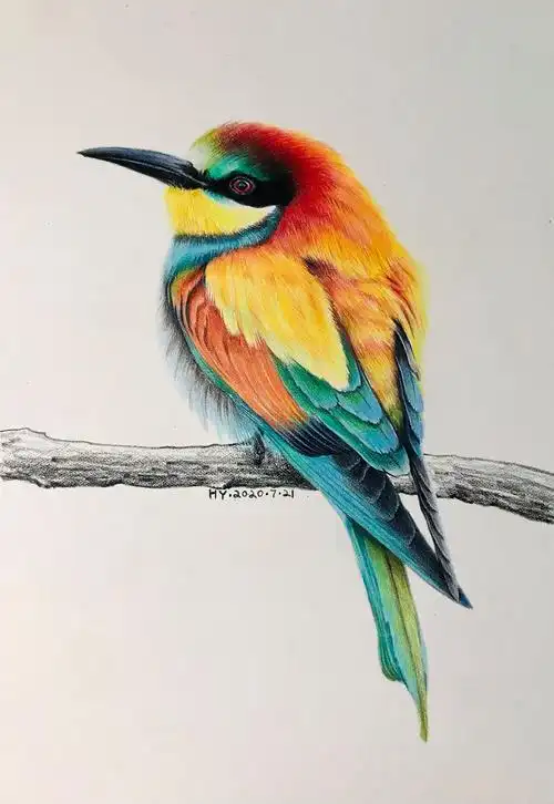 小鸟过程图|纯艺术|绘画|皮皮黄_原创作品-站酷zcool