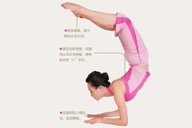 瑜伽体式-蝎子式