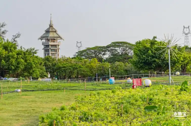 深圳60岁以上免门票景点
