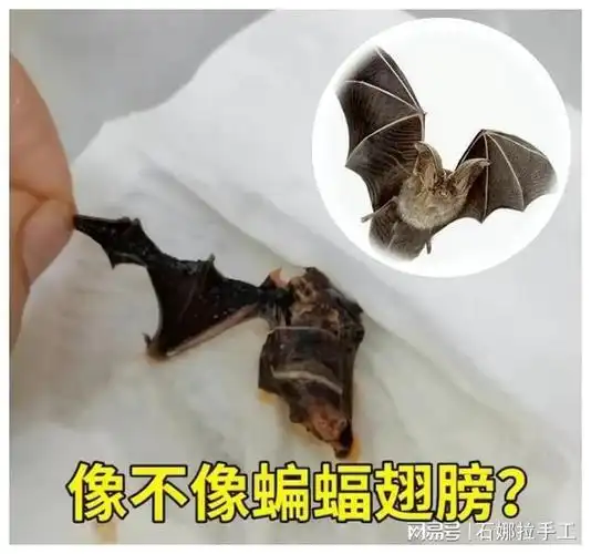 食品安全真该引起重视了,前有鸭脖事件,后有针头事件,现在又出个蝙蝠