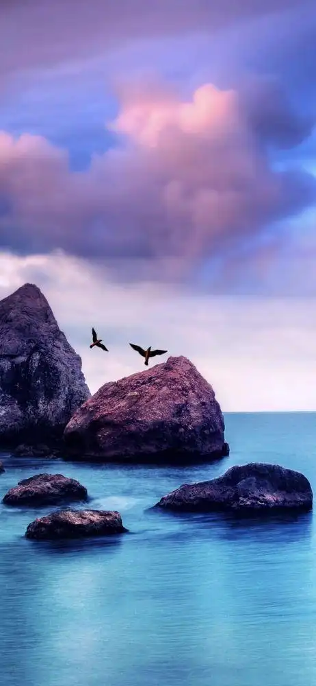 iphone壁纸|抖音全屏壁纸美图_腾讯新闻