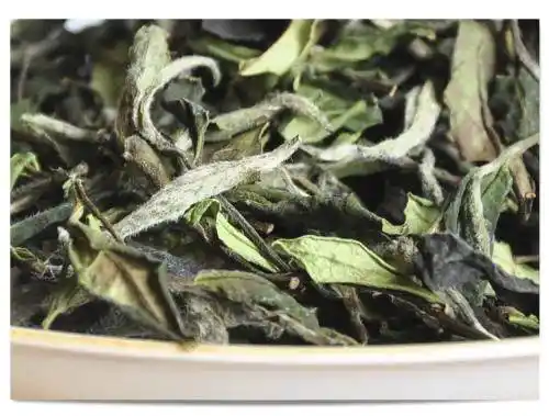 干货,贡眉茶的一些饮用小常识