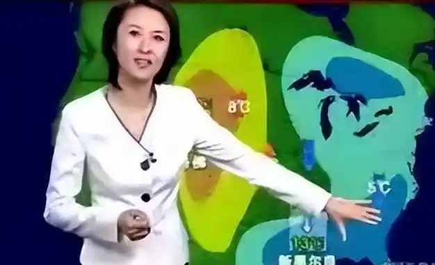 裴新华:前央视天气预报主持人,家族背景雄厚,嫁大老板后隐退|中国中央