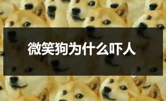 微笑狗为什么吓人