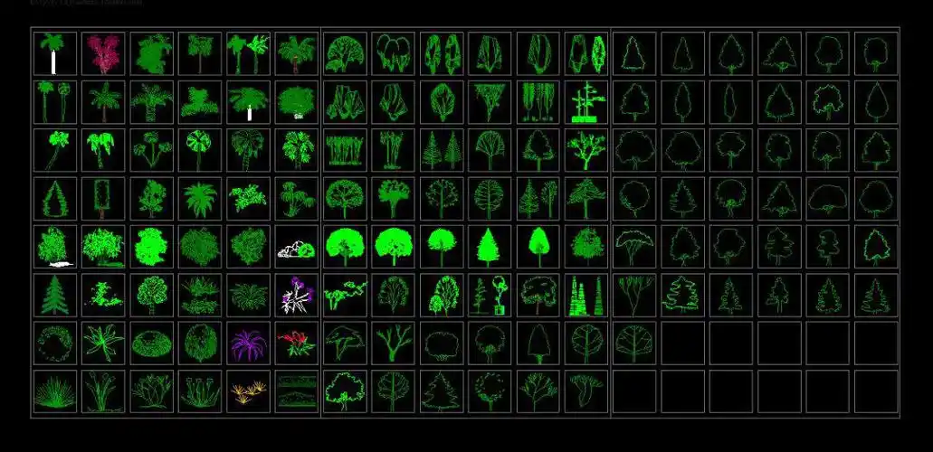 松柏类图例落叶灌木图例平面图树木图块是cad操作中比较核心的工作