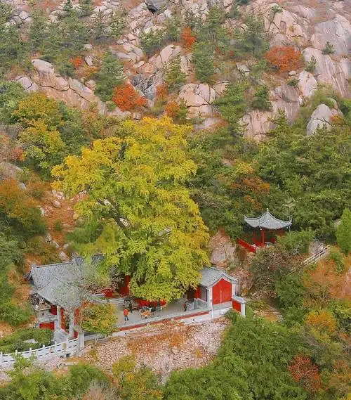 青岛秋天必去的十大景点