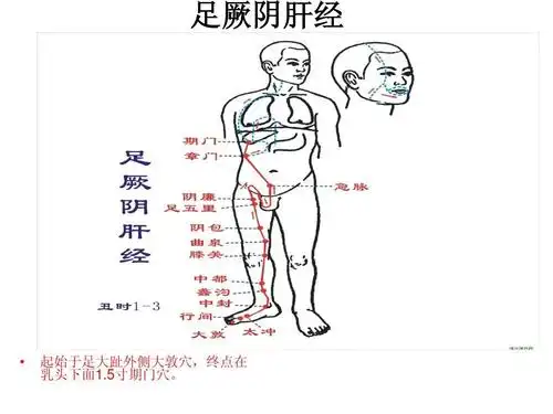 中医经典,经络养生.