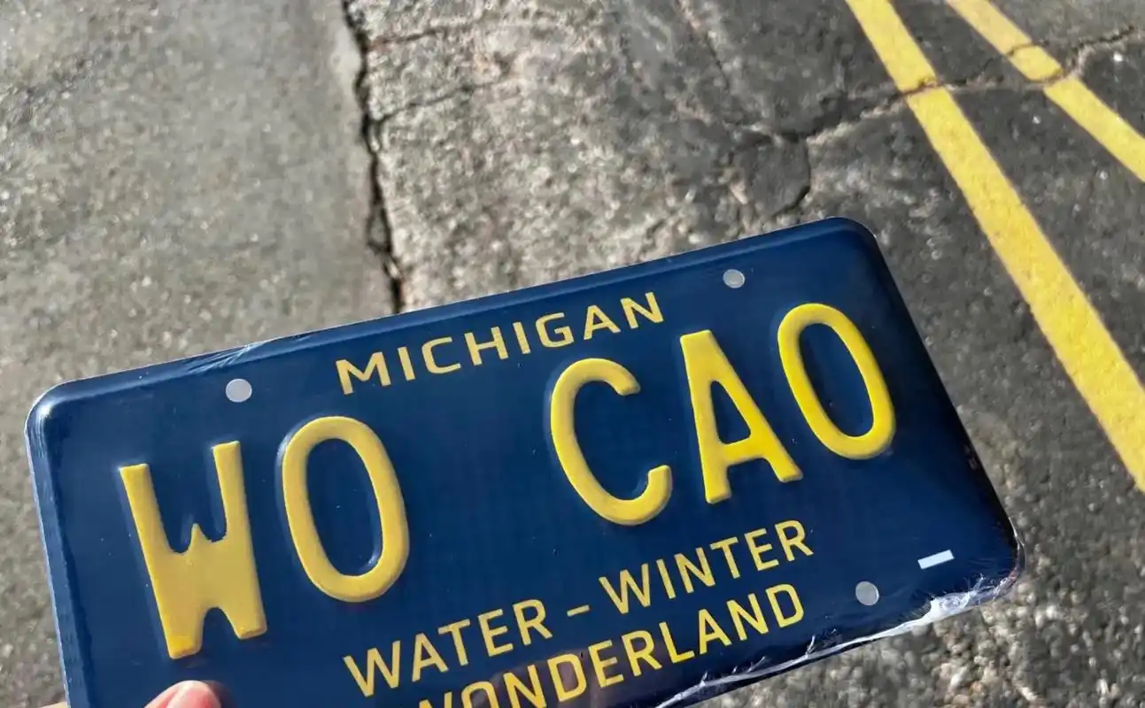 国外自定义车牌!最后一张有惊喜07.#美国 #国外生活 #个 - 抖音