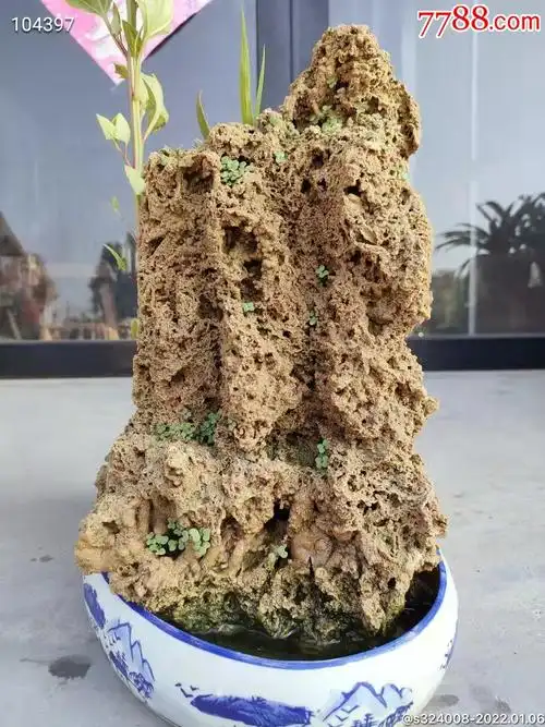 纯天然吸水石造型独特吸水性强非常漂亮