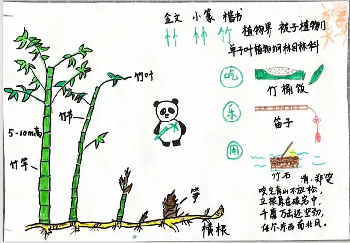 《观竹》指导老师:沈颖作者:马桥元祥幼儿园 大(1)班盛铭恩《牵牛花》