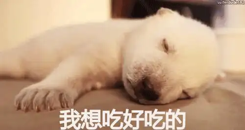 好吃的gif宋小宝gif逗比gif搞笑gif