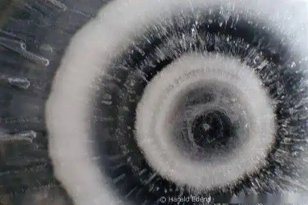 冰晶还会被继续往上带一阵,在这个过程中裹上一层层冰,所以在显微镜下