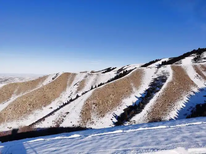 老顽童新疆白杨沟冰雪徒步游