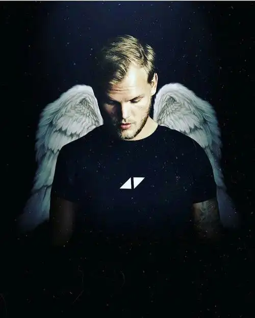如何评价过世瑞典dj兼电子音乐制作人avicii的一生
