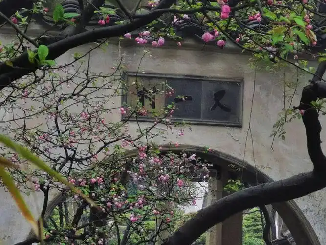 柳暗花明又一村