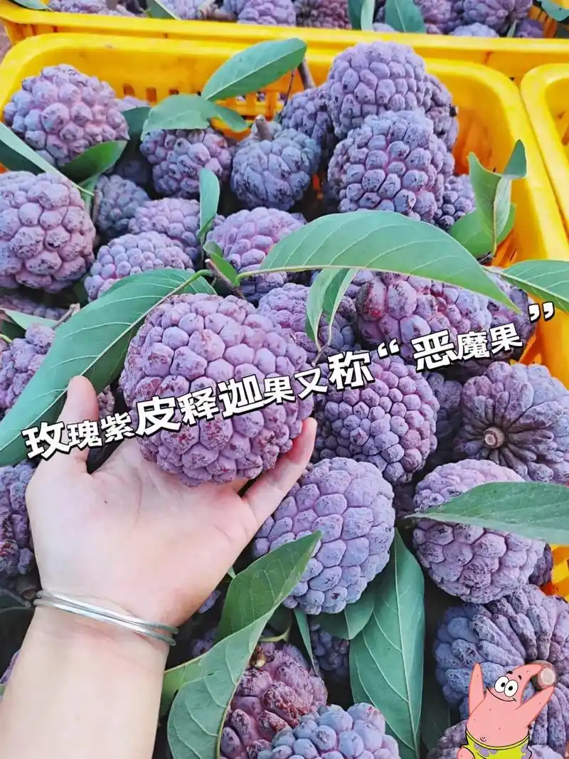 99%的人没吃过!玫瑰释迦果.玫瑰释迦果,果皮颜 - 抖音