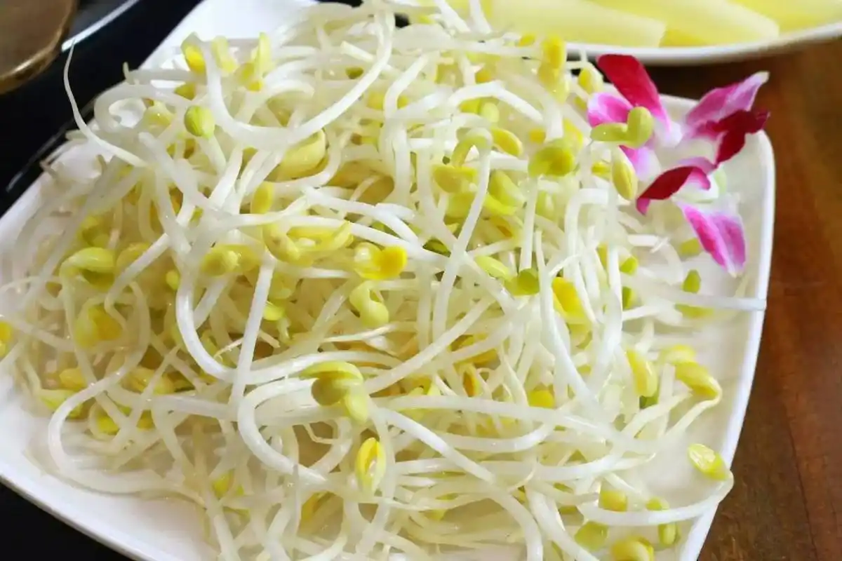 美食 正文 特价 1元1份 黄豆芽 萝卜片 大白菜 营业时间:10:00-14:00