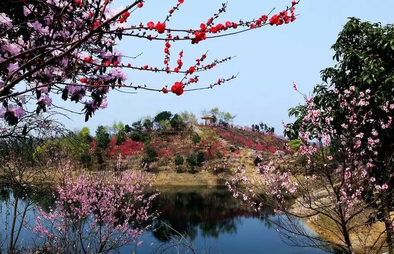 武宁花源谷 金沙滩门船票电子票(快速出票 提前2小时下单 未使用可退)