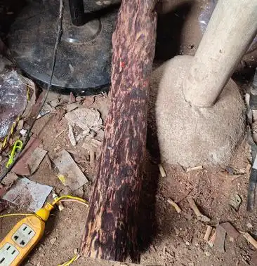 海南尖峰岭花梨公,神奇香药材