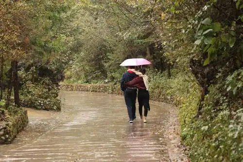 其它 潼关,陇南,剑门关,我在阆中等你 写美篇雨中漫步官鹅沟, 层林尽