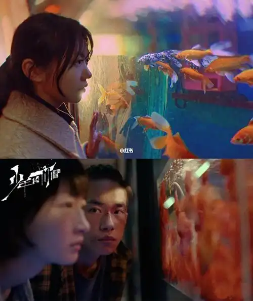 周末千玺陪少年的你同款鱼缸照