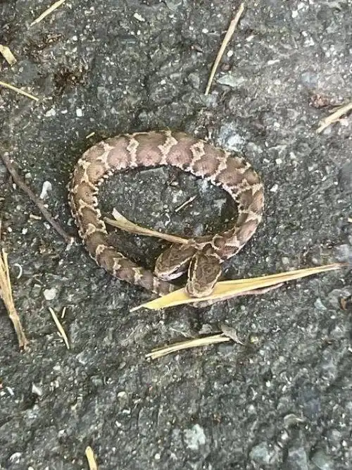 网易首页>网易号>正文申请入驻>543_724竖版 竖屏