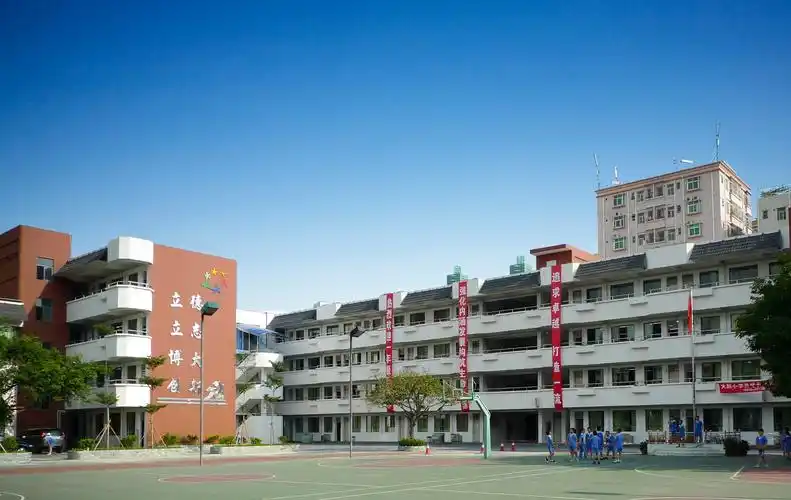 深圳市南山区大新小学