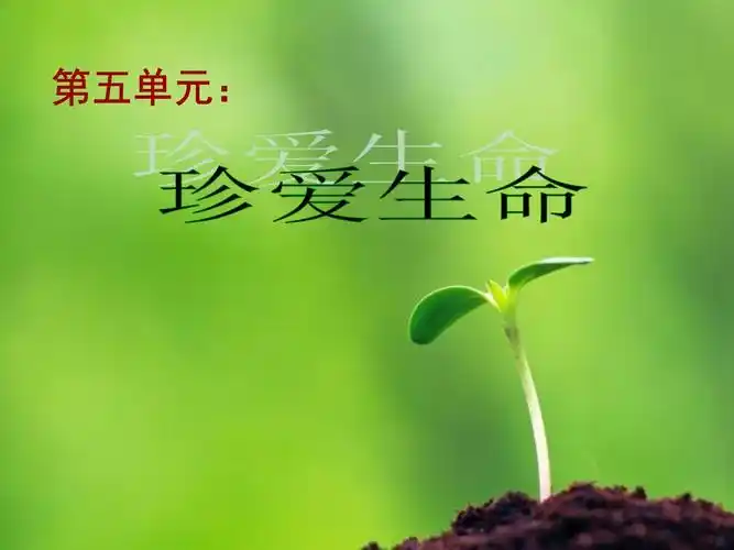 51生命宝贵第1课时课件