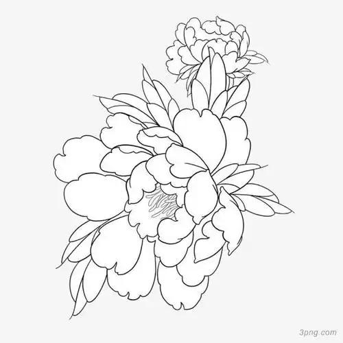 标签:线描牡丹线描牡丹手绘牡丹简笔画牡丹线描植物花卉线描线描人物