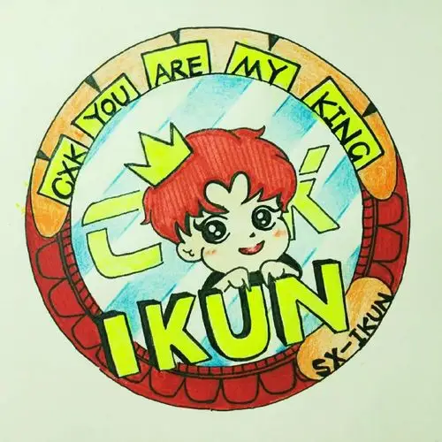 蔡徐坤生日应援曲