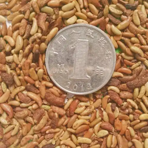 脱壳紫穗槐灌木种子木豆银合欢沙达旺狗尾草拧条火炬 刺槐 胡枝子