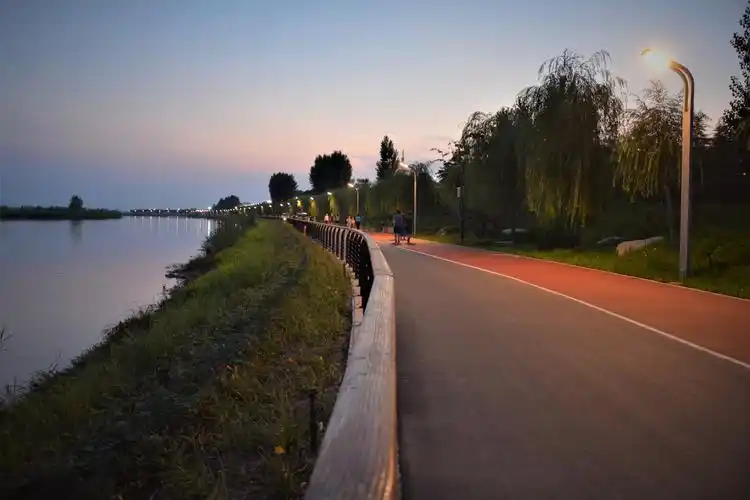 徜徉杨凌渭河湿地公园