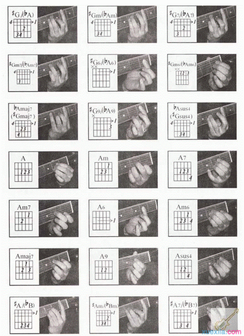 cm6 csus4 csus2 c7sus4 dm9 dm6 dsus4 dsus2 d7sus4 em9 em6 esus4