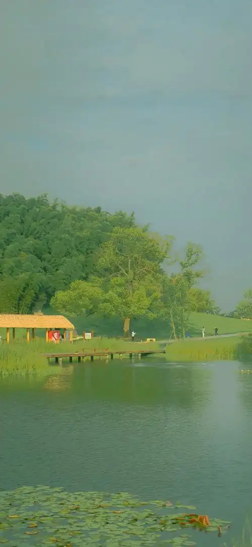 绿意盎然的春天