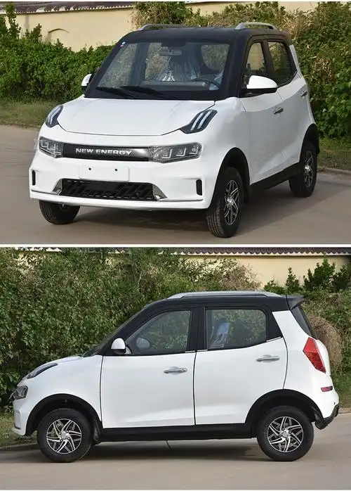 新能源电动汽车成人四轮车家用小型代步电瓶4轮轿车女士油电两用小型