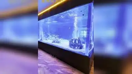 大型亚克力鱼缸 亚克力厚板厂家  大型鱼缸定制 透明泳池