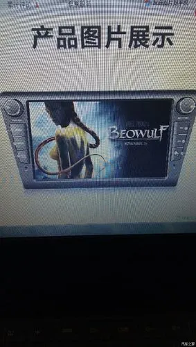 加的这导航啥熊牌子的.