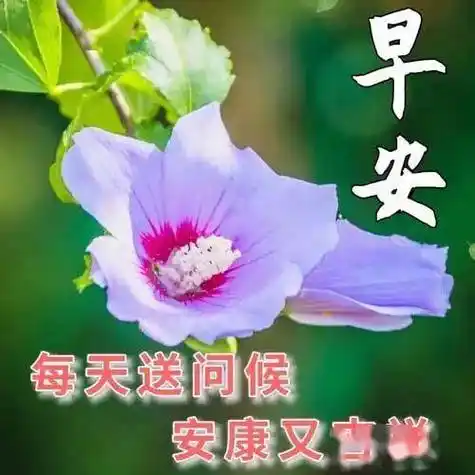 今日最新早上好祝福语精选图片 春天早上好问候祝福语图片大全_阳光时