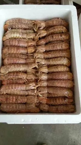 成都海霸王冻品批发市场华盛达水产产品实图1