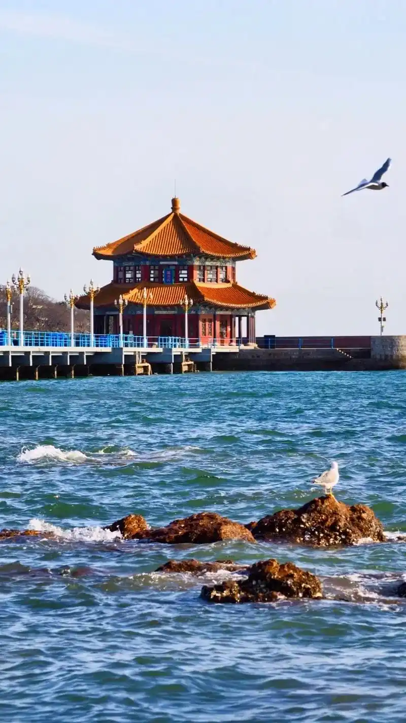 99详细地址: 青岛市市南区太平路12号 - 抖音