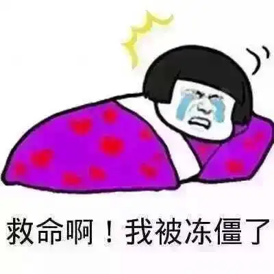 用手机记录生活#我要冻死了!_帖子_oppo手机官方社区